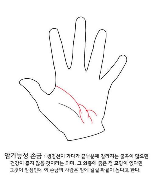 셀프 손금보기.jpg