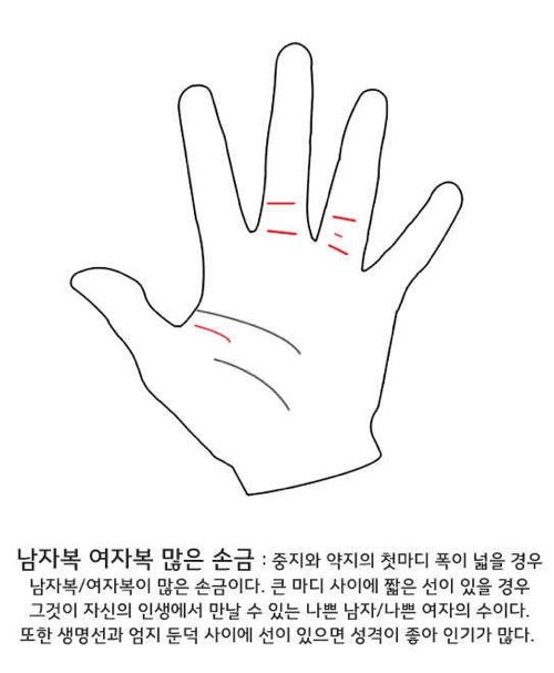 셀프 손금보기.jpg