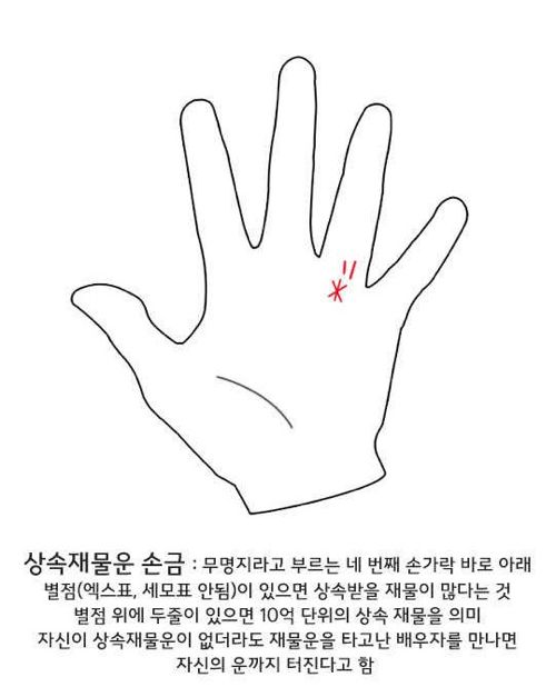 셀프 손금보기.jpg