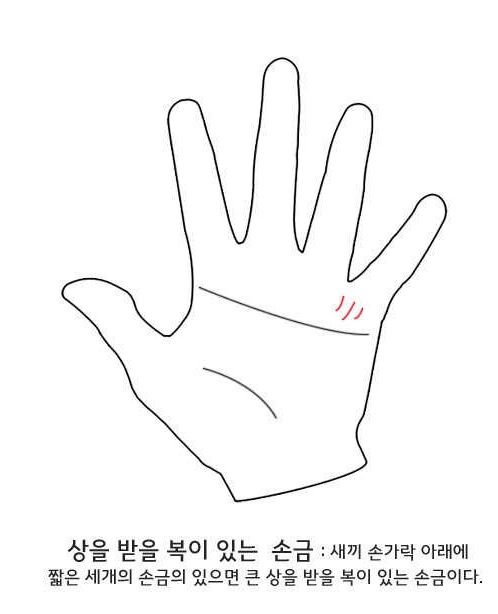 셀프 손금보기.jpg