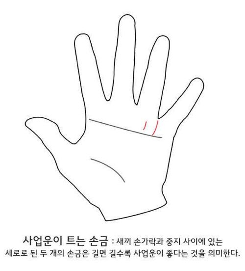 셀프 손금보기.jpg