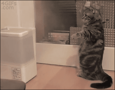 보이지 않는 적과의 싸움.gif