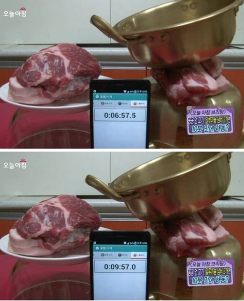 냉동고기 10분만에 해동시킬 수 있는 방법