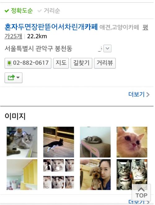 흔한 애견카페 이름