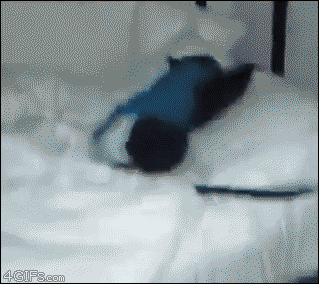 음? 아우 벌써 아침이야?.GIF