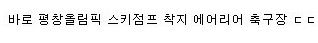 우리나라의 특이한 축구장