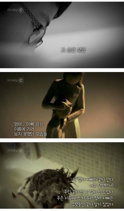엄마가 울었다.e