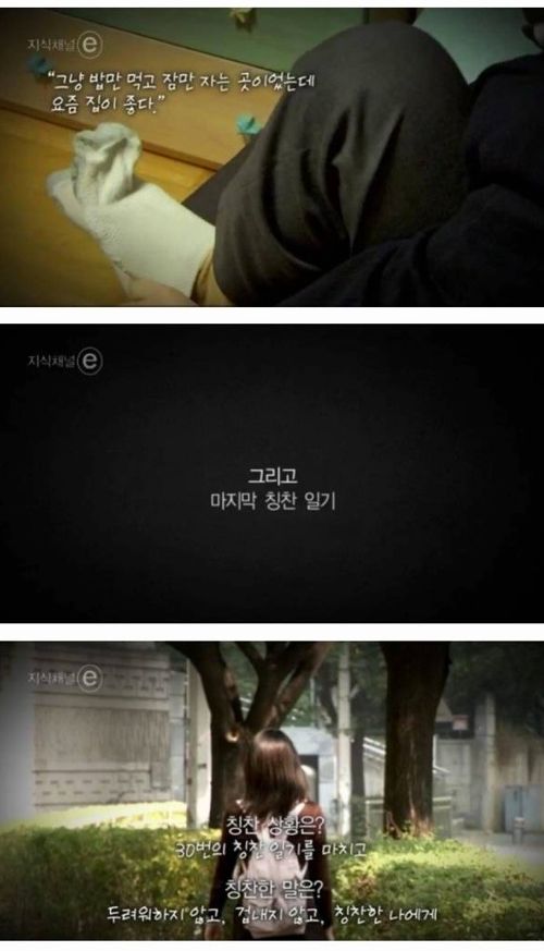 엄마가 울었다.e