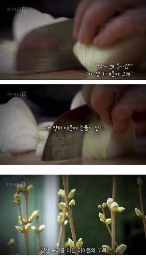 엄마가 울었다.e