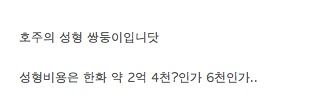 호주의 성형쌍둥이.jpg