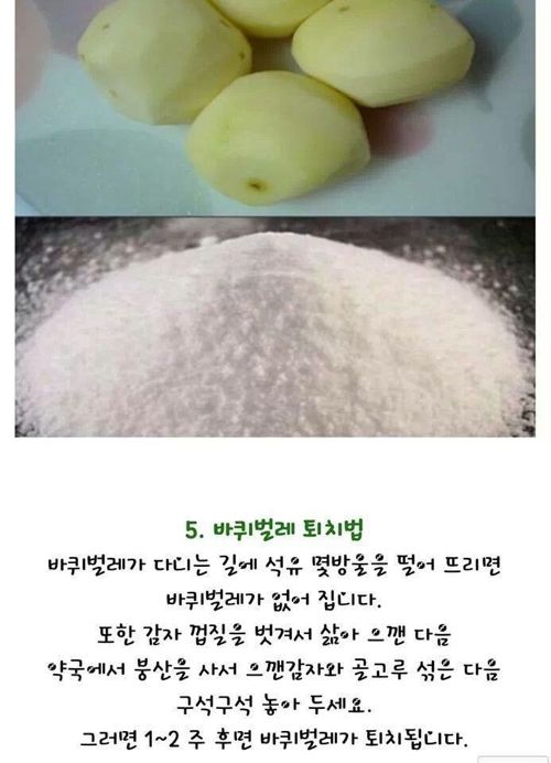 생활속 tip.jpg