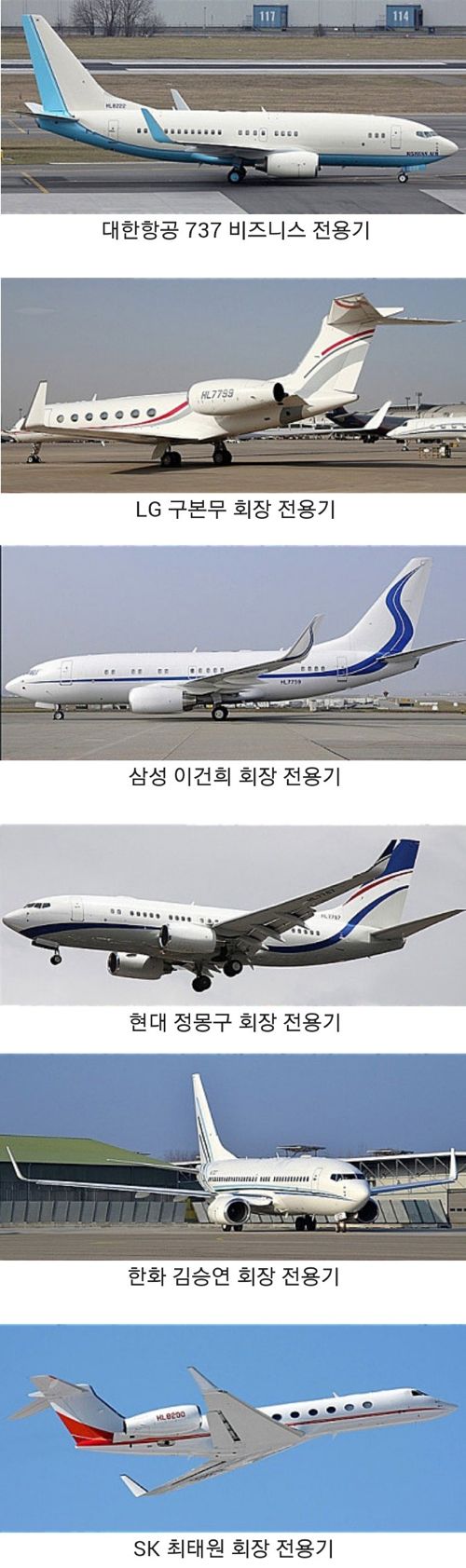 대기업 회장 전용기.jpg
