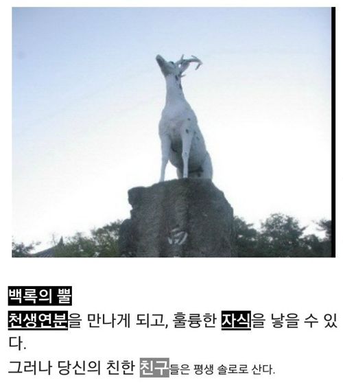 어떤걸 드시겠습니까?