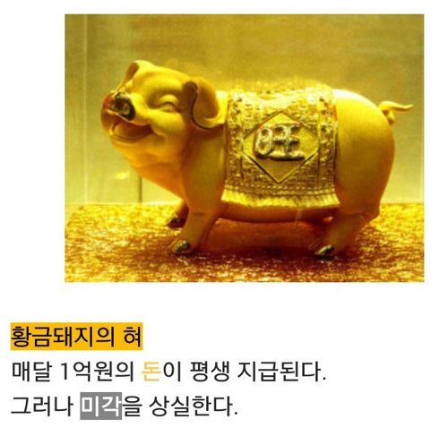 어떤걸 드시겠습니까?