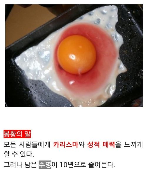 어떤걸 드시겠습니까?
