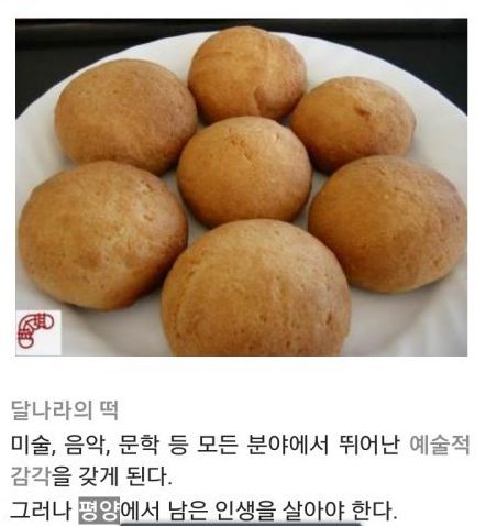 어떤걸 드시겠습니까?
