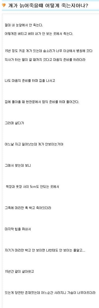 강아지가 죽을때.jpg