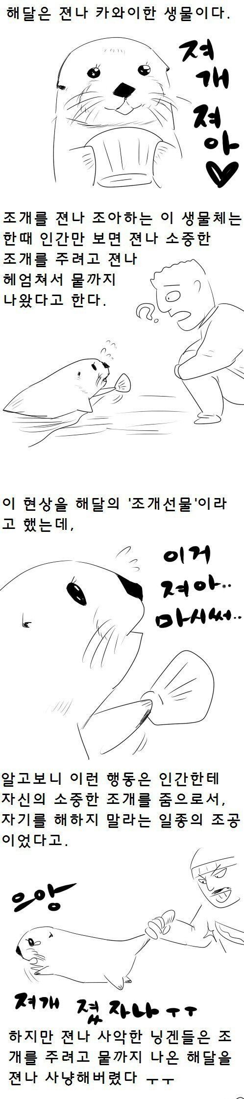 해달의 비밀.jpg