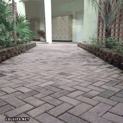 애인과 손잡고 나란히 걸어가보자.gif