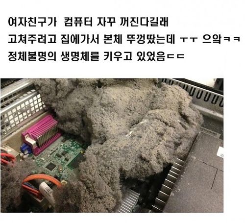 [혐]여자친구의 컴퓨터.jpg