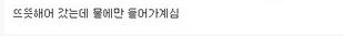 디씨인의 흔한 애완동물 산책