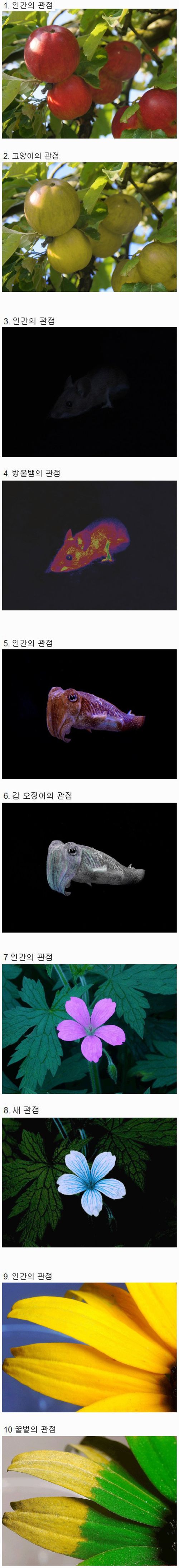 같은 대상 다른 시각.jpg