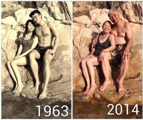 인생의 동반자