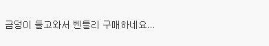 대륙 초갑부가 외제차 구매하는 방법