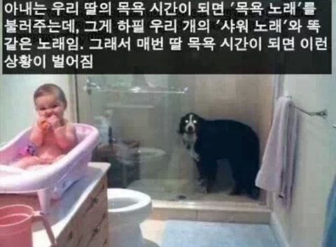 개귀염.jpg
