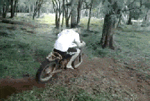 셀프 바이킹.gif
