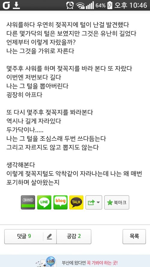 털이 준 교훈.jpg