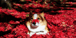 사개절.GIF
