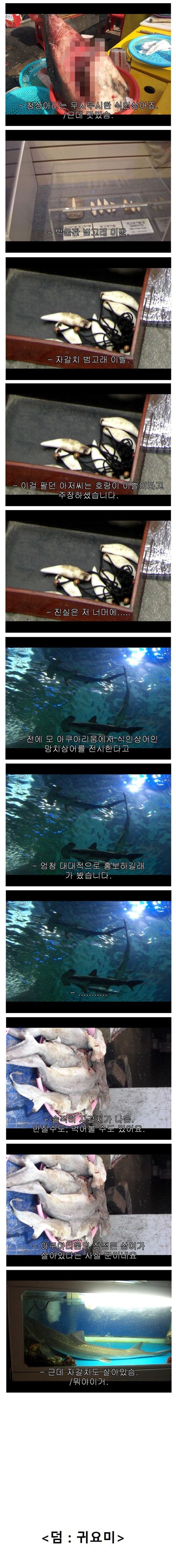 부산 자갈치시장의 위엄