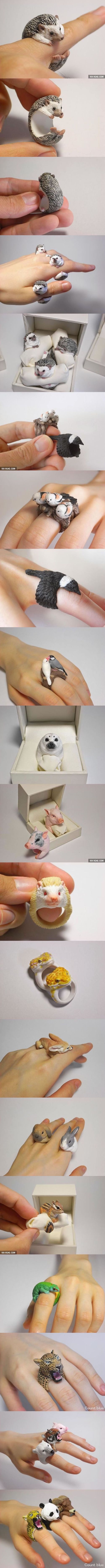 동물 반지.jpg