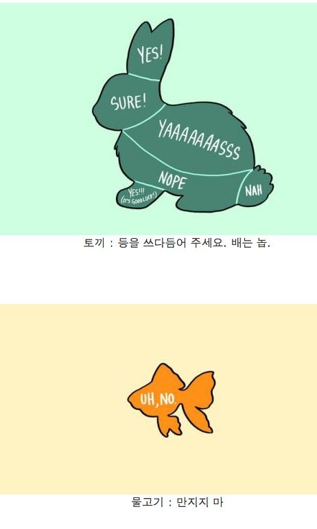 동물별 쓰다듬기 가이드.jpg