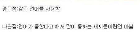 한국 서버의 장단점.JPG