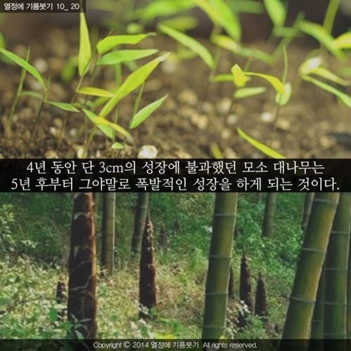 [스압]당신은 지금 성장하지 않는 것이 아니다