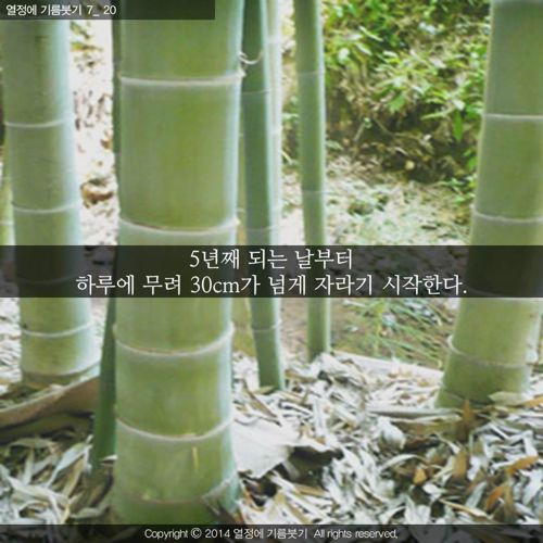 [스압]당신은 지금 성장하지 않는 것이 아니다