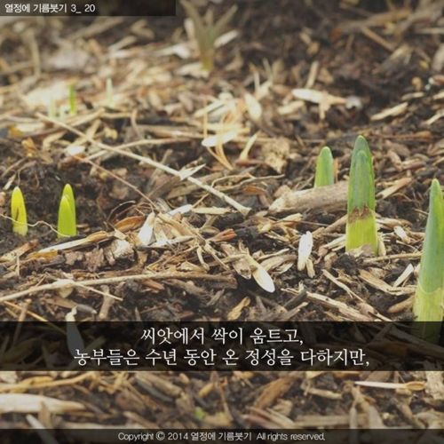 [스압]당신은 지금 성장하지 않는 것이 아니다
