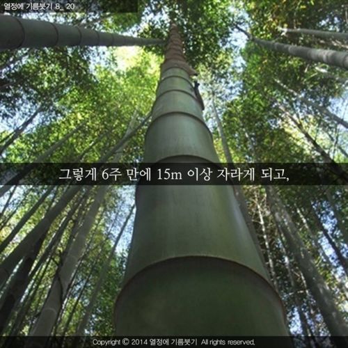 [스압]당신은 지금 성장하지 않는 것이 아니다