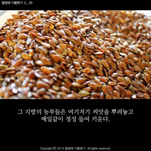 [스압]당신은 지금 성장하지 않는 것이 아니다