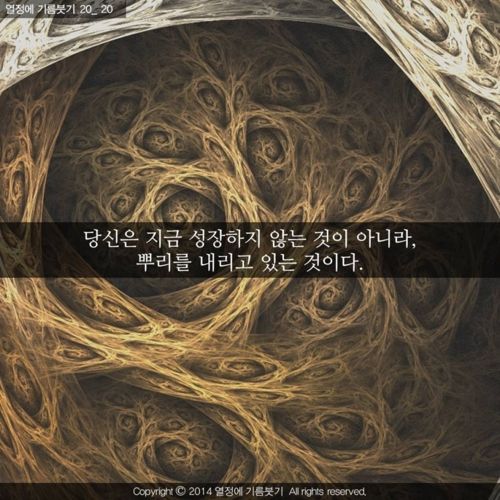 [스압]당신은 지금 성장하지 않는 것이 아니다