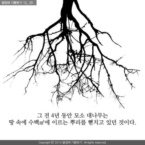 [스압]당신은 지금 성장하지 않는 것이 아니다