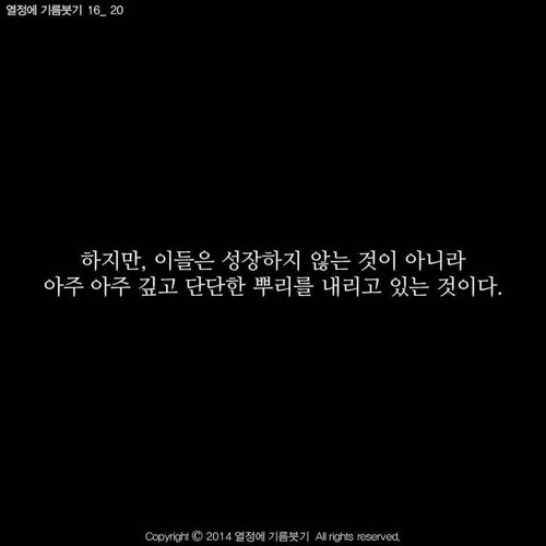 [스압]당신은 지금 성장하지 않는 것이 아니다