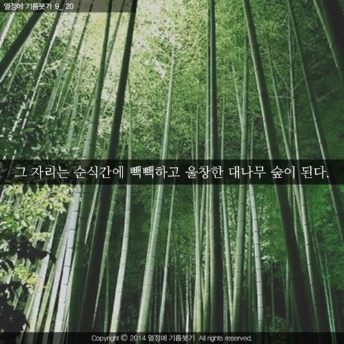 [스압]당신은 지금 성장하지 않는 것이 아니다