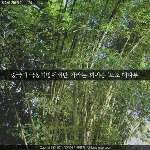 [스압]당신은 지금 성장하지 않는 것이 아니다