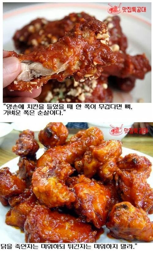 치킨 명언 모음.jpg