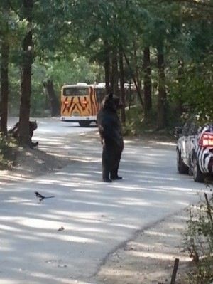 쑥과 마늘 섭취 50일째