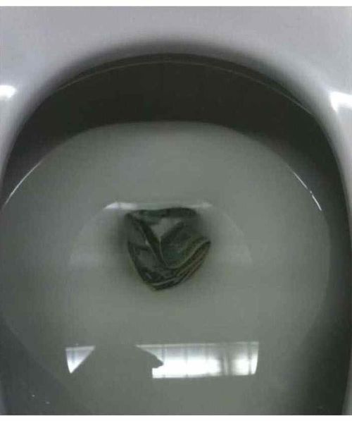 분노가 흐르는 짤들.jpg