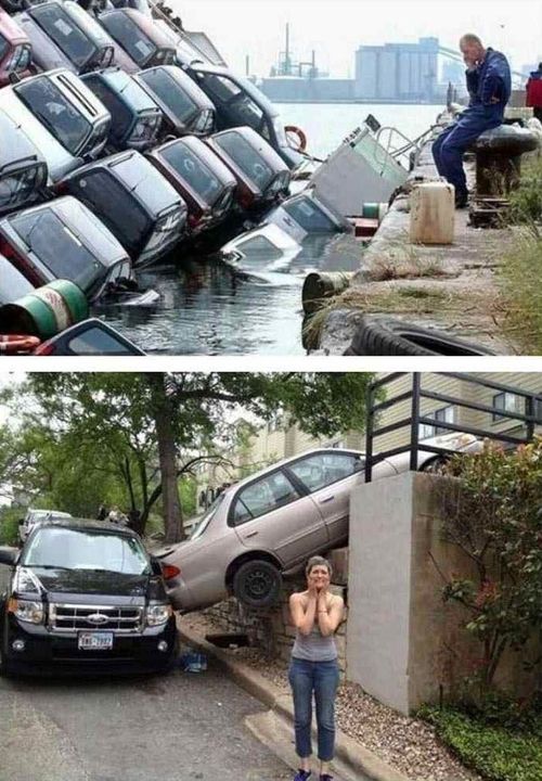 분노가 흐르는 짤들.jpg